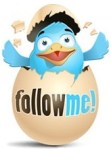 twitter-duck-follow-me2